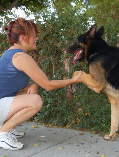 Zorro von Zimmermann Karen